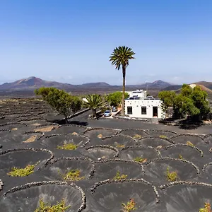  Ferienhaus Petit La Geria Lanzarote
